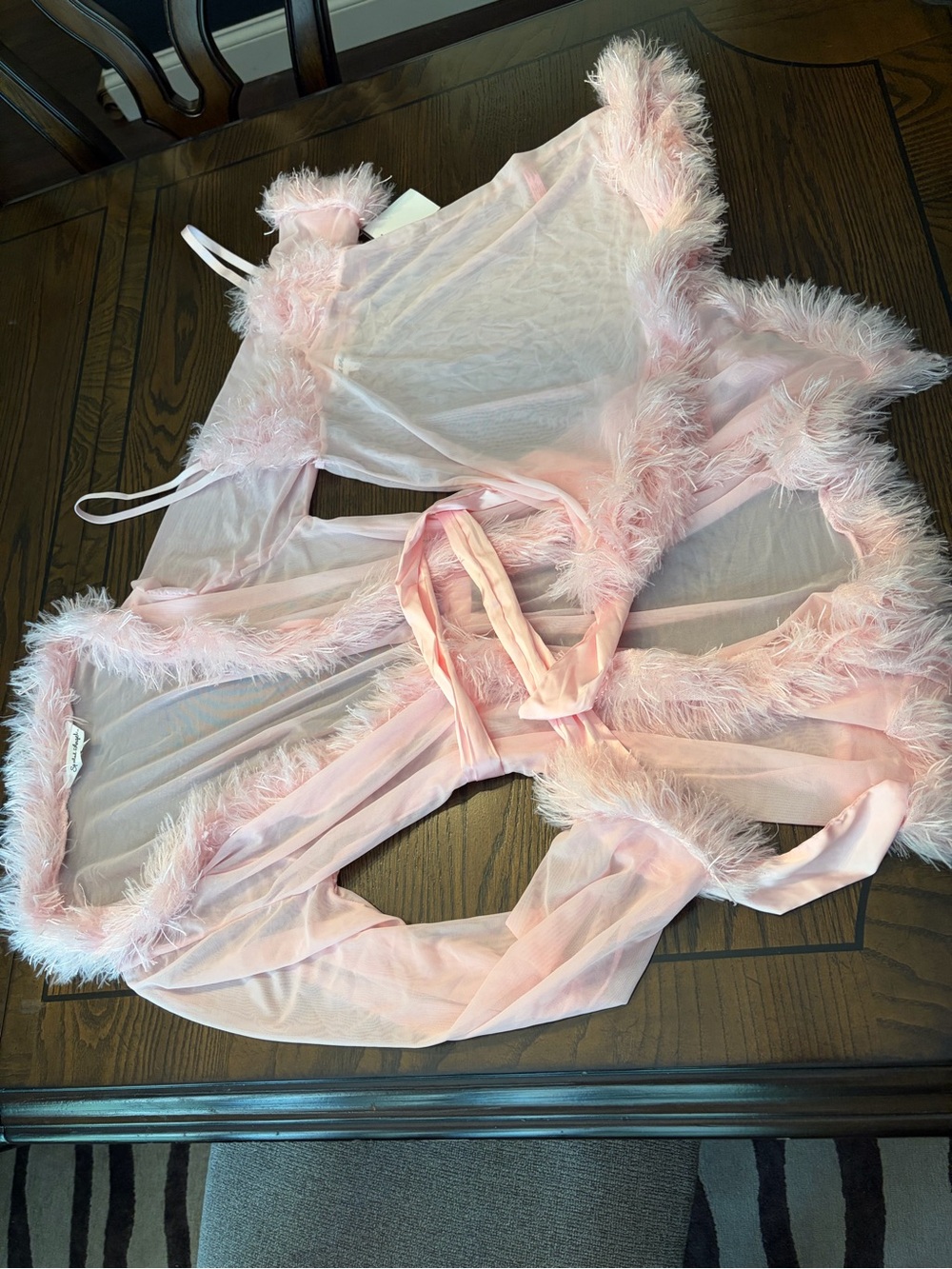 Sheer Pink Feather-Trim Robe and Slip Set